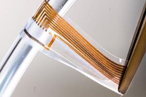 ساخت الکترودهای نرم و رسانا از جنس طلا برای منفعت گیری در سیستم عصبی_آینده 21 ساخت الکترودهای نرم و رسانا از جنس طلا برای منفعت گیری در سیستم عصبی_آینده