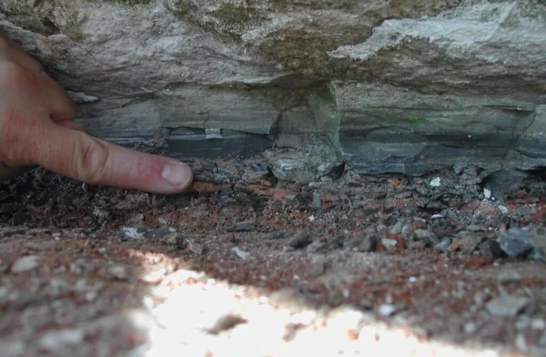 محققان محل احتمالی شکل‌گیری سیارک نابودگر دایناسورها را کشف کردند؛ آن‌سوی مدار مشتری_آینده