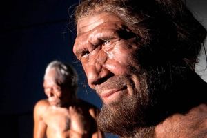 مختصر‌ترین گونه انسان فقط یک متر قد داشت_آینده