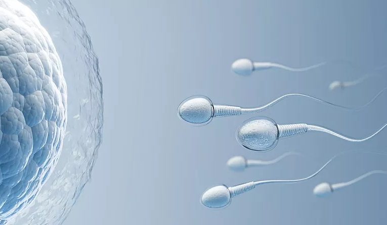 ناباروری مردان با ابتلا به ویروس پاپیلوم انسانی ربط دارد؟_آینده