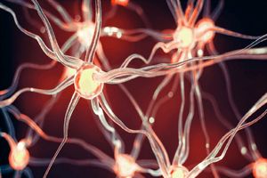 «هورمون عشق» بر سختی خون در طول کم اکسیژنی تاثییر می‌گذارد_آینده