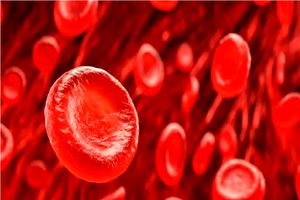 اولین سلول‌های بنیادی خونی پرورش یافته در آزمایشگاه_آینده