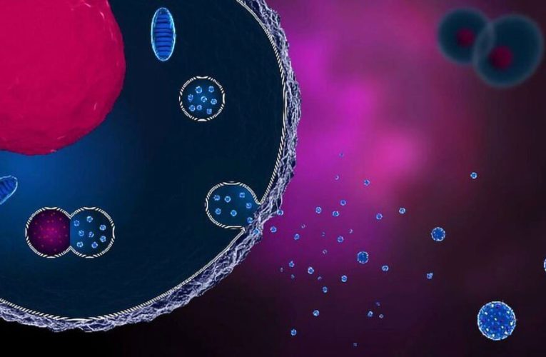 این آزمایش خون تازه انگارً می‌تواند تشخیص سرطان مغز را سریع تر و آسان‌تر کند_آینده