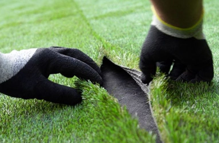 تصویری که علتشرم ایرانیان شد/ تفاوت کیفیت زمین چمن تهران و جده!/ عکس_آینده