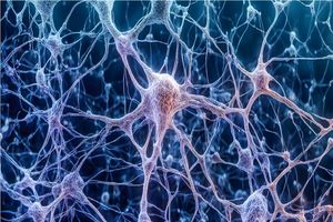 رابطه شگفت و معکوس بین آلزایمر و سرطان!_آینده