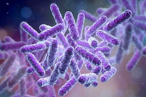 مقابله با اَبَرباکتری‌ها با ترکیب نقره و آنتی‌بیوتیک_آینده