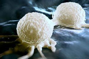 کشف نقش پنهانی استروژن در ابتلا به سرطان_آینده