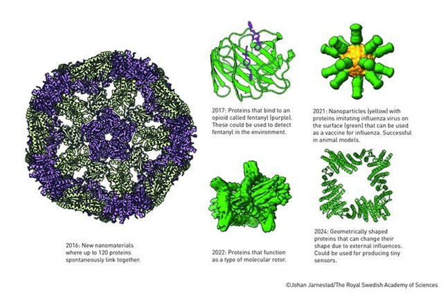 برندگان نوبل شیمی ۲۰۲۴ معارفه شدند_آینده
