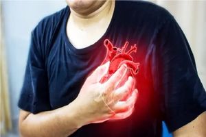 پیروزی زهر عنکبوت در درمان صدمه‌های دعوا قلبی!_آینده