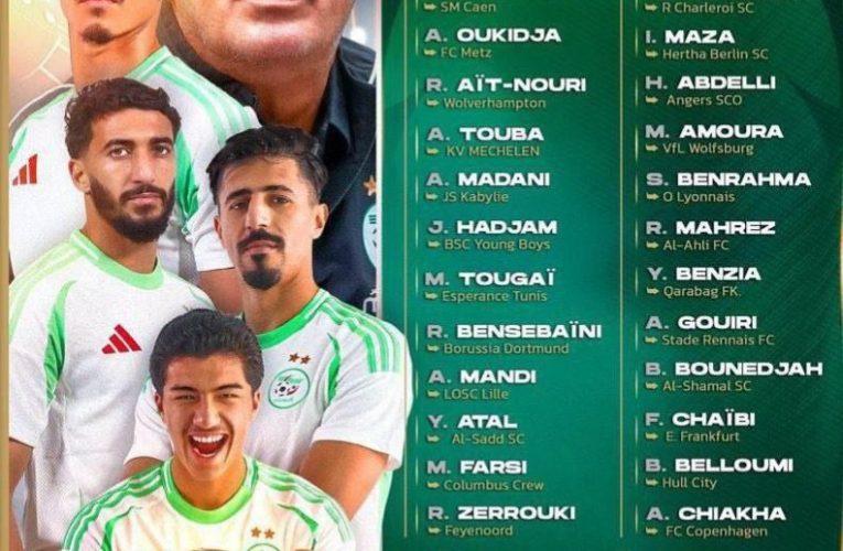 جانشین بیرانوند به تیم ملی دعوت شد_آینده