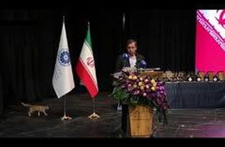 ورود یک گربه به سالن همایش زمان سخنرانی وزیر اقتصاد/ ویدئو_آینده