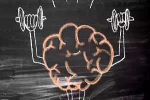 ۱۰ تمرین برای بیدار شدن مغز_آینده