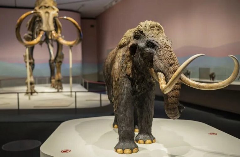 برگشت هیولای منقرض‌شده به طبیعت_آینده