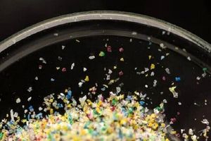 ساخت فومی که انواع میکروپلاستیک‌ها را از محیط جمع‌آوری می‌کند_آینده