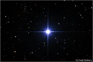 ستاره‌های آسمان فروشی شد! / قیمت یک ستاره چند؟