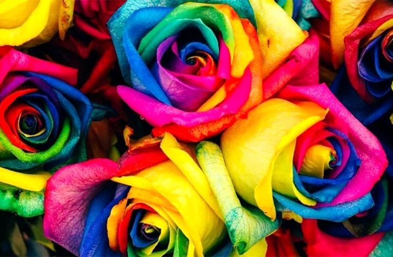 انتخاب های رنگی و زناشویی_آینده