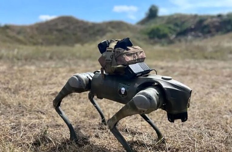 رژه سگ‌های رباتیک در ارتش هند/ ویدئو_آینده