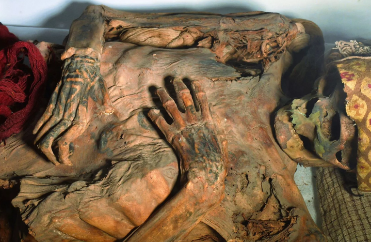 کشف الگوی ماهرانه خالکوبی مومیایی ۸۰۰ ساله پرو که با تتوهای امروزی رقابت می‌کند/ تصاویر_آینده