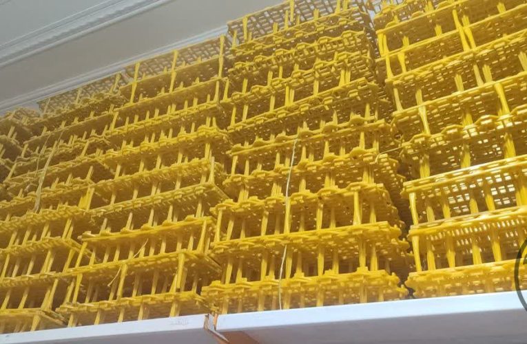 اسلت چیست؟ معرفی و مزایای استفاده از اسلت پایه دار مرغ در پرورش طیور