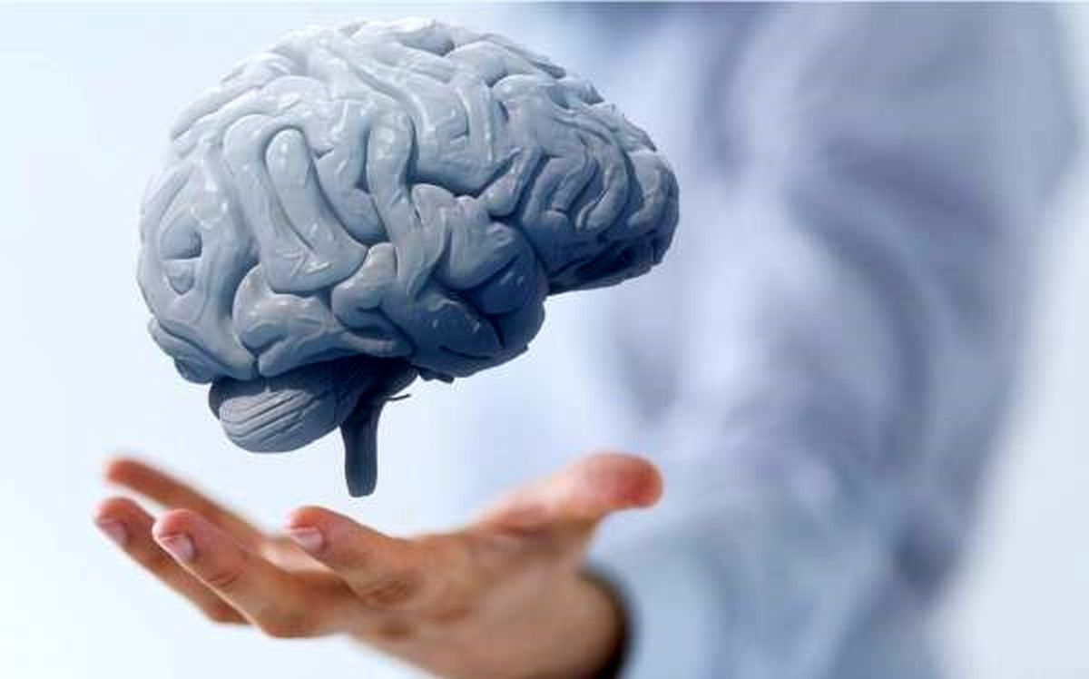 آیا مغز در لحظه مرگ، خاطرات را مرور می‌کند؟/ ویدئو

