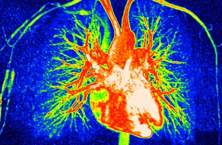 اگر مصرف گوشت را قطع کنیم چه اتفاقی برای بدن می‌افتد؟_آینده
