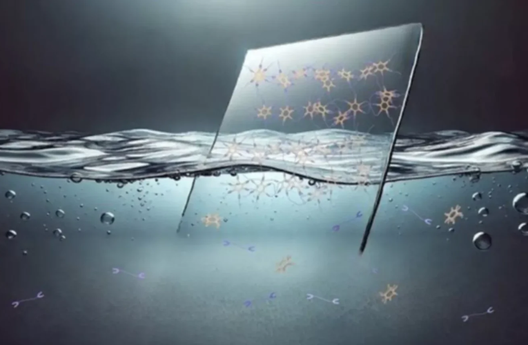 این پلاستیک می‌تواند مشکل آلودگی زباله‌ ها را حل کند_آینده