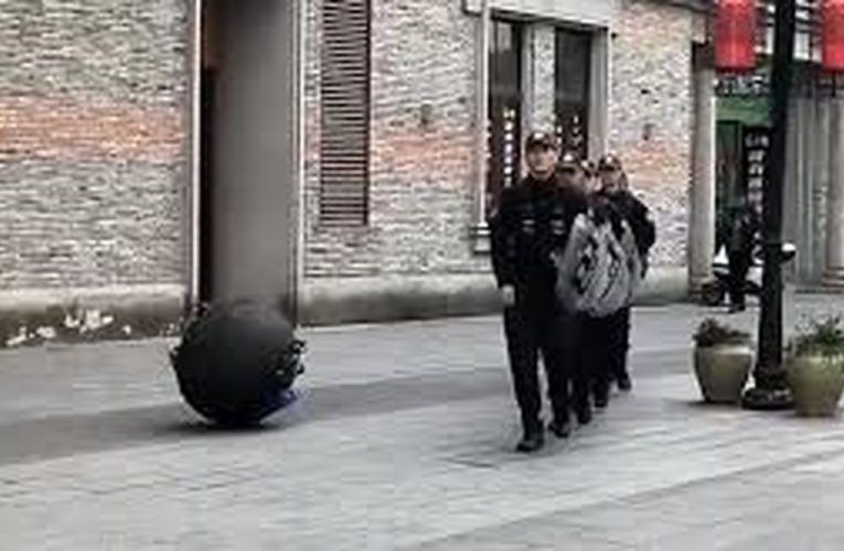 یک ربات دلنشین چینی در حوزه امنیت و دفاع، دقت جهانیان را به خود جلب کرد/ ویدئو_آینده