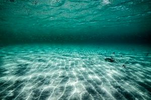 بعد از ۷ هزار سال، مجدد زنده شد/ موجودی که قرنها خفته بود_آینده 11 پس از ۷ هزار سال، دوباره زنده شد/ موجودی که قرنها خفته بود