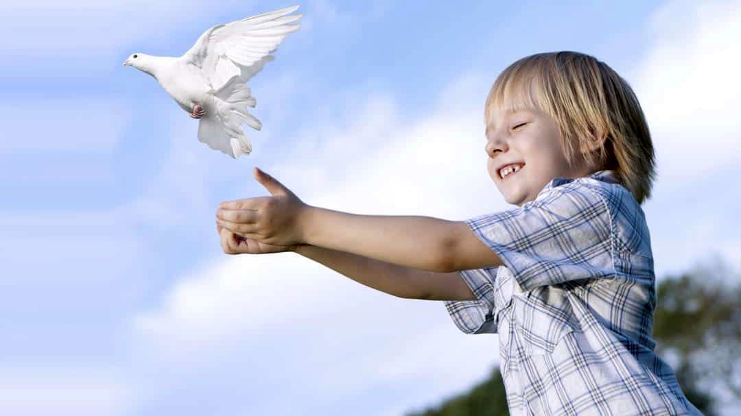 1743602647 242 چطور کودکی اجتماعی پرورش کنیم؟ ۷ راهکار موثر برای