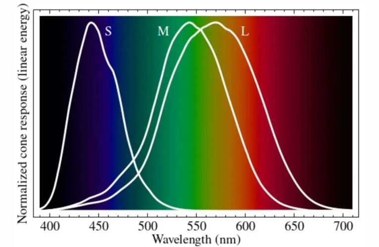 دانشمندان چشم انسان را هک کردند_آینده