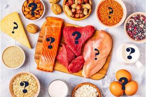 چه مقدار پروتئین نیاز داریم؟_آینده 11 چه مقدار پروتئین نیاز داریم؟