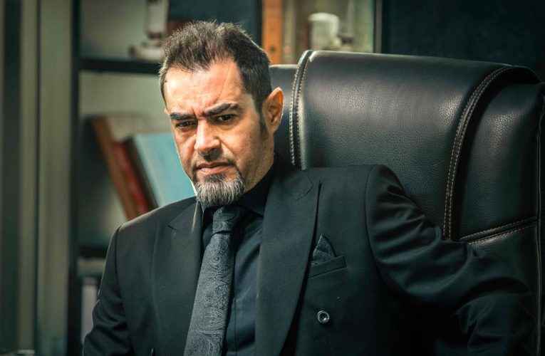 انتقاد شهاب حسینی از سانسور سریال آبان/ ویدئو_آینده