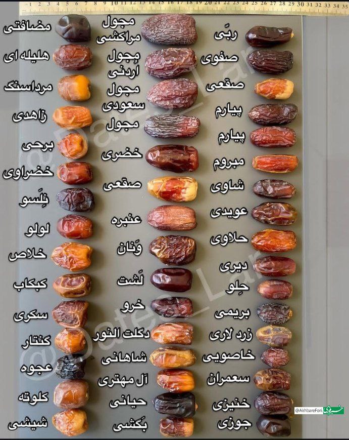 photo_2025-04-25_20-13-49