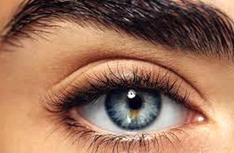 هیچ عضو بدنی از «چشم» خبردار نیست/ ویدئو_آینده