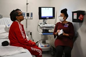 کلیه خوک از بدن یک زن خارج شد!_آینده