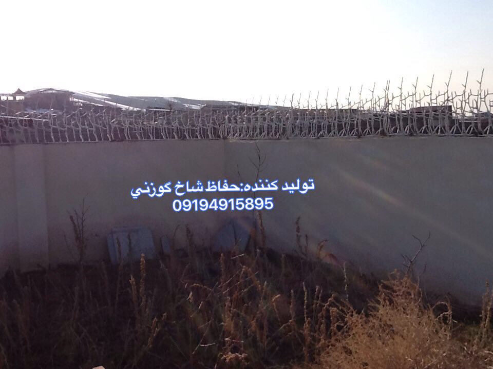 شاخ گوزنی برای امنیت ساختمان: راهنمای کامل و جامع