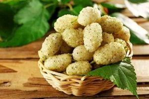 با خوردن این میوه افسرده نمی شوید