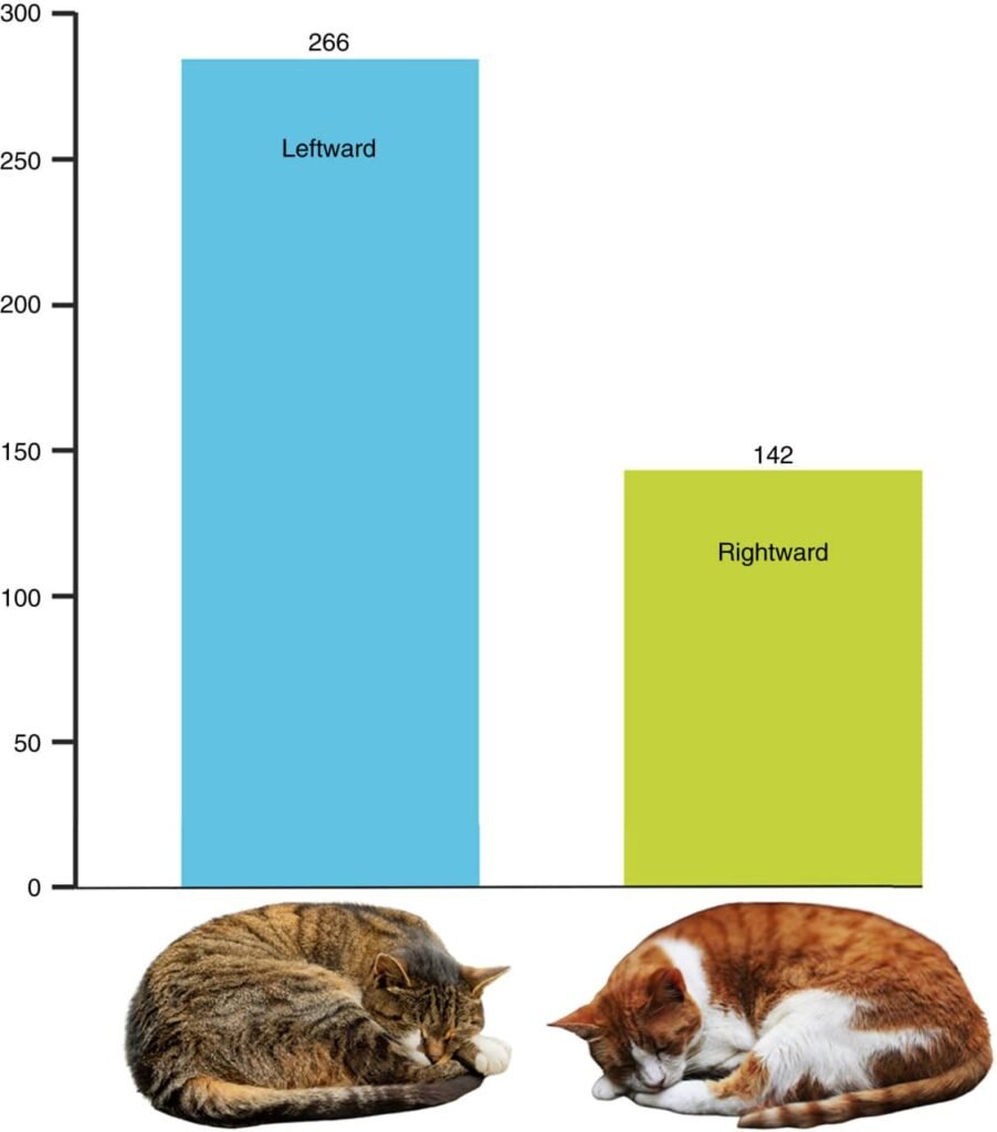چرا گربه ها معمولاً روی پهلوی چپ خود می‌خوابند؟