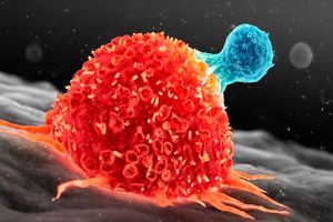 رونمایی از نانوذرات مغناطیسی هوشمند برای هدف‌گیری دقیق تومورهای سرطانی