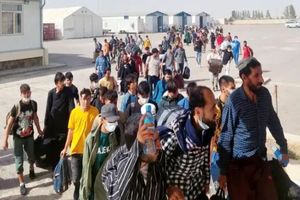 سود ماهانه اخراج اتباع از ایران ۲۰۰۰ میلیارد تومان/ ویدئو