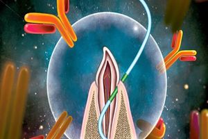 واکسن بعدی شما می‌تواند روی یک نخ دندان باشد!