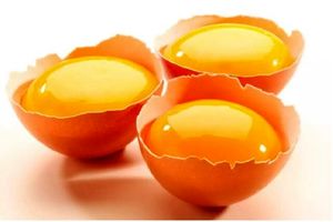 آیا مصرف زرده تخم مرغ خام با شیر ولرم باعث تقویت سیستم ایمنی بدن می‌شود؟
