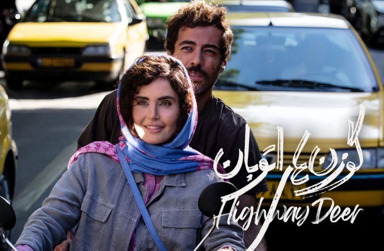 سکانس جنجالی و شگفت الناز شاکردوست و نوید پورفرج در گوزن های اتوبان/ ویدئو_آینده