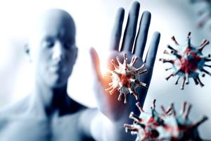 انتقال طول عمر از والدین به فرزندان بدون DNA