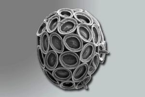 سرنوشت سیاره زمین در دست موجوداتی ریزتر از غبار