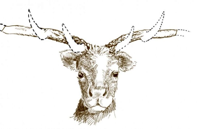 فسیلی که تورنتو را شوکه کرد_آینده