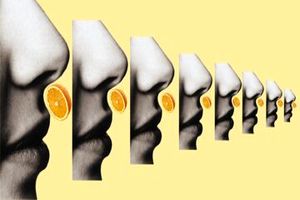 میلیون ها نفر بعد از کرونا حس بویایی خود را از دست داده‌اند، بی آنکه بدانند_آینده