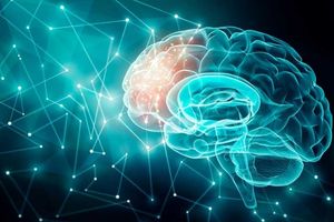 مغز انسان بین ۵۵ تا ۶۰ سالگی به اوج توان ذهنی خود می‌رسد_آینده