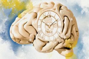 چرا هرچه سن‌مان بالاتر می‌رود زمان زودتر می‌گذرد؟