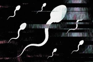 بازار سیاه اسپرم؛ مردانی که اسپرم خود را آنلاین می‌فروشند_آینده